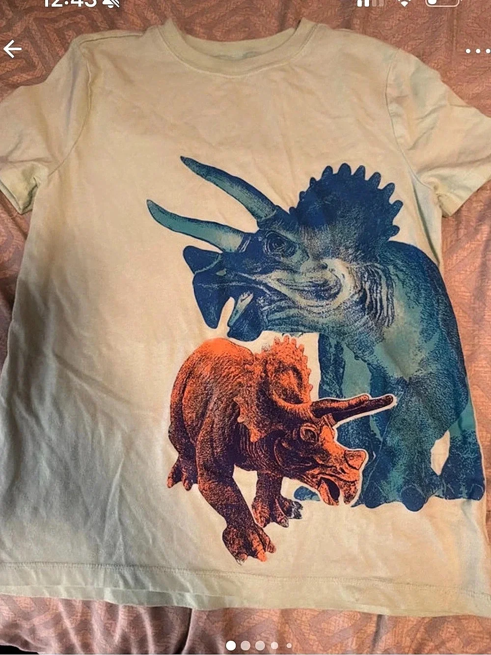 Carter's Boys Dinosaur Graphic Tee Green & Blue size 10/12